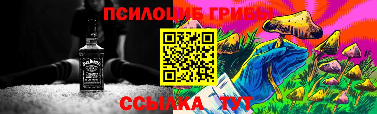 Набережные Челны  Галлюциногенные грибы GOLDEN TEACHER  Вход с VPN 